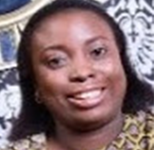 Engr. O. P. Abioye