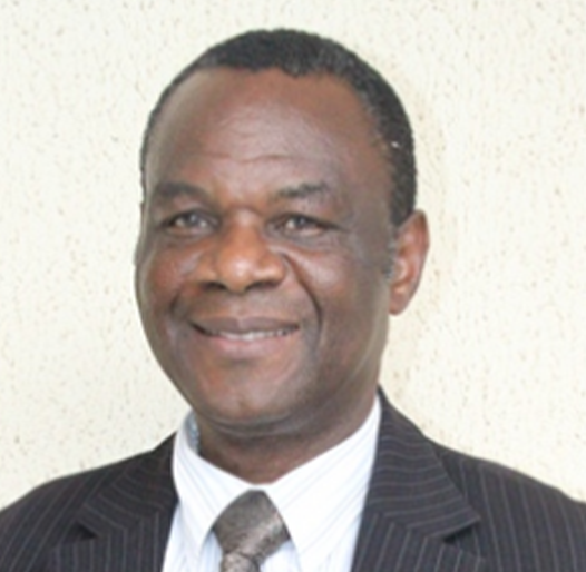 Professor C. Bolu