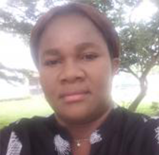 Dr. I. P. Okokpujie