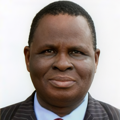 Prof. Inegbenebor Anthony Omieraokholen